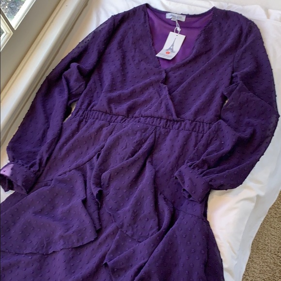 NWT Swiss Dot Purple Dress        Size: Medium - Picture 7 of 13